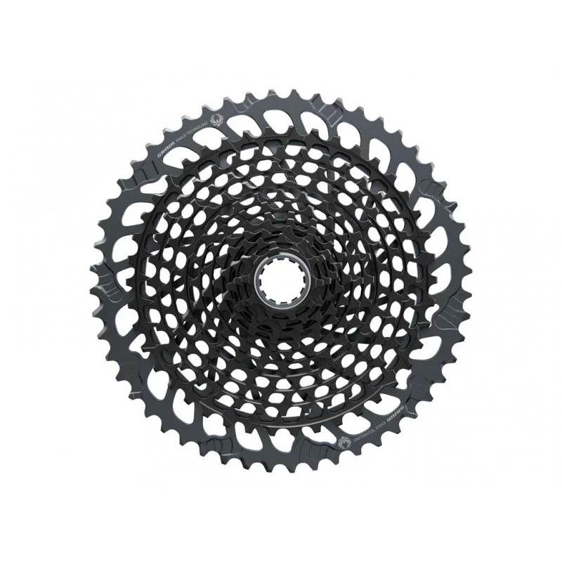 pedalmoto20260523111350531373