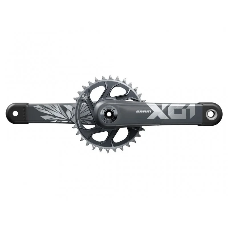 pedalmoto20260523113039534652
