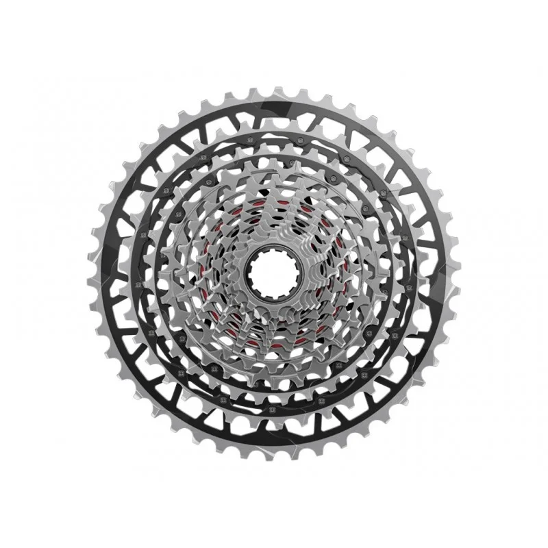 pedalmoto20260523122126543468