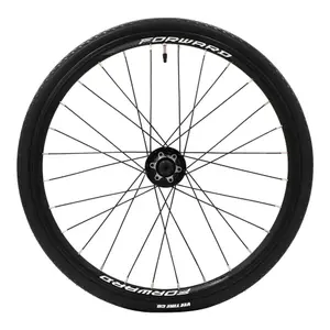 velo-store-120260524181740665984