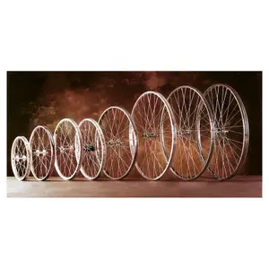 velo-store-220260524135025619809