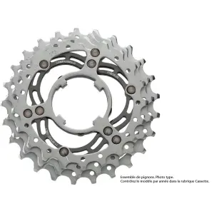 velo-store-220260524191018674486